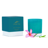 Soy Wax Candle (9.5oz/280ml)